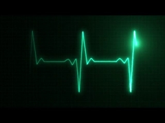 Company introduction